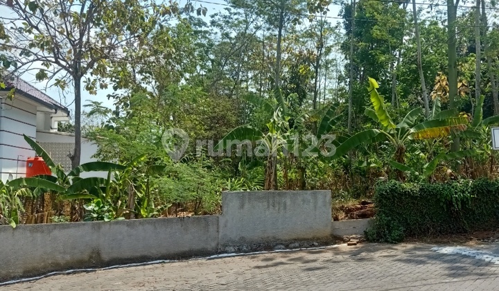 Tanah Murah,Super Strategis Pinggir Jalan di Tembalang Semarang 1