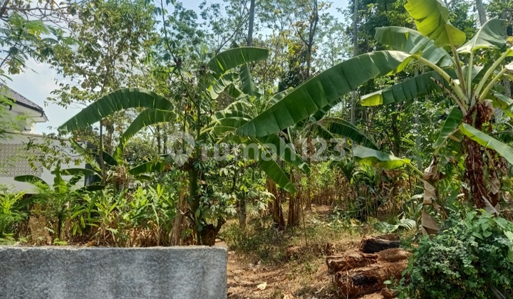 Tanah Murah,Super Strategis Pinggir Jalan di Tembalang Semarang 2