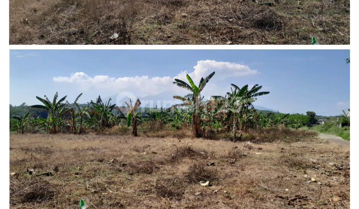 Tanah Murah,dibawah Njop,shm,istimewa Lokasi Di Mijen Semarang 1