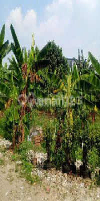 Tanah Dijual 5000 m2 Pinggir Jalan Raya Pondok Cabe. Nego Tanah Dijual 5000 m2 Pinggir Jalan Raya Pondok Cabe. Nego