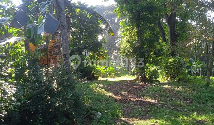 Tanah Dijual Jalan Pala Raya Pondok Cabe. 6.000 M2. SHM. Nego!