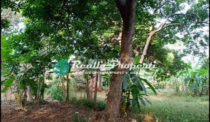 Tanah Luas Lokasi Dlm Perkampungan di Jatikramat Jatiasih Bekasi 3