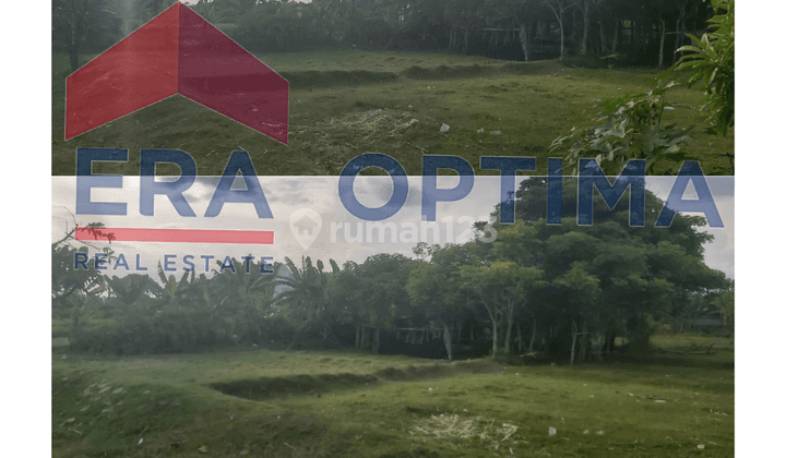 Dijual Tanah Los Pantai Jumpai Klukung, Bali Luas Tanah 2,3ha 1