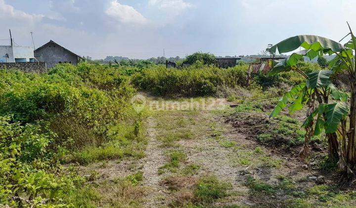 Dijual Tanah Daratan Datar Ds Suberagung Kec Plumpang Kab Tuban Prop Jatim 2