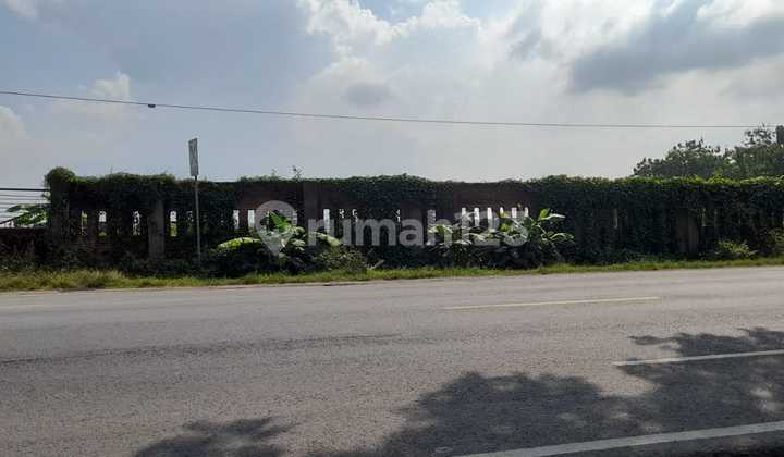 Dijual Tanah Daratan Datar Ds Suberagung Kec Plumpang Kab Tuban Prop Jatim 3