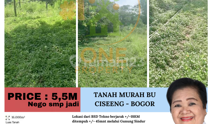 Cheap Sale, Ma'am!! Land in Ciseeng - Bogor Cheap Sale, Ma'am!! Land in Ciseeng - Bogor