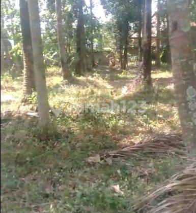 Jual Tanah Murah Shm, Jauh Dibawah Njop Jl Mentor, Sayap Pasteur 2