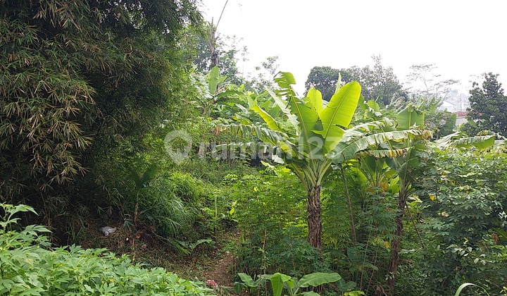 Jual Tanah Murah SHM di Rancakendal, Cigadung Jual Tanah Murah SHM di Rancakendal, Cigadung