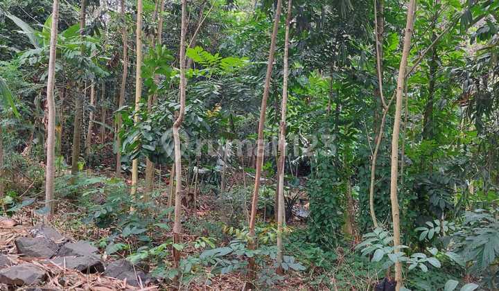 Jual Tanah SHM Jl Cibolerang, Cinunuk, Cileunyi Jual Tanah SHM Jl Cibolerang, Cinunuk, Cileunyi