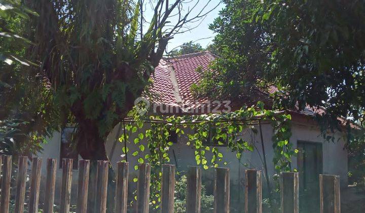 Jual Rumah Di Jl.tentara Pelajar, Bogor  5