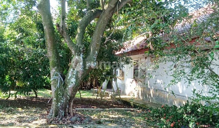 Jual Rumah Di Jl.tentara Pelajar, Bogor  10