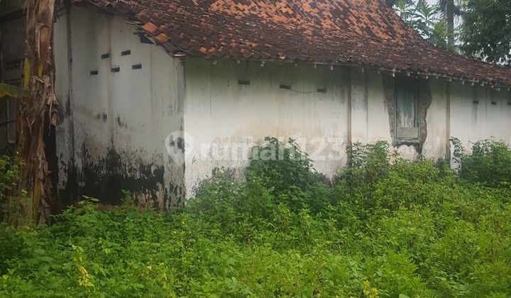 For Sale: SHM Land on Main Road Jl Raya Purworejo-Kutoarjo (Jl. Gajah Mada), Purworejo Regency For Sale: SHM Land on Main Road Jl Raya Purworejo-Kutoarjo (Jl. Gajah Mada), Purworejo Regency