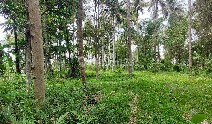 DIJUAL TANAH MURAH SHM, JAUH DIBAWAH NJOP, JL.MENTOR, SAYAP PASTEUR DIJUAL TANAH MURAH SHM, JAUH DIBAWAH NJOP, JL.MENTOR, SAYAP PASTEUR