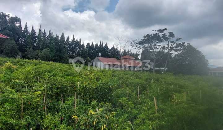 Disewakan Tanah di Mainroad Jl. Kol. Masturi, Lembang