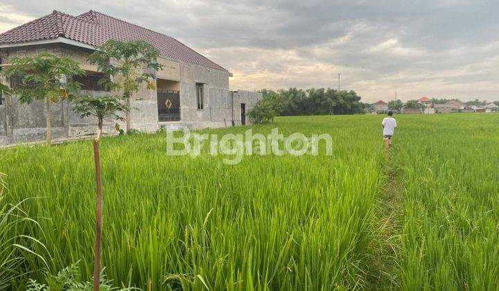 Tanah sawah nol jalan aspal dekat ring road madiun 1