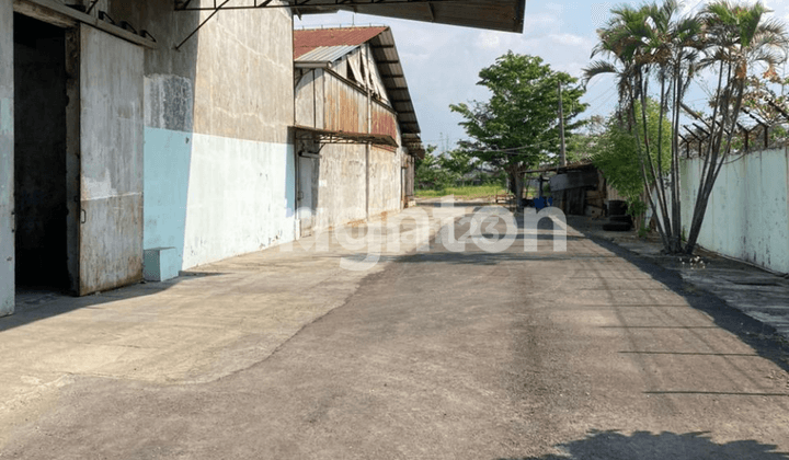 Gudang Pabrik Jalan Raya Sipait Pantura Pekalongan 1