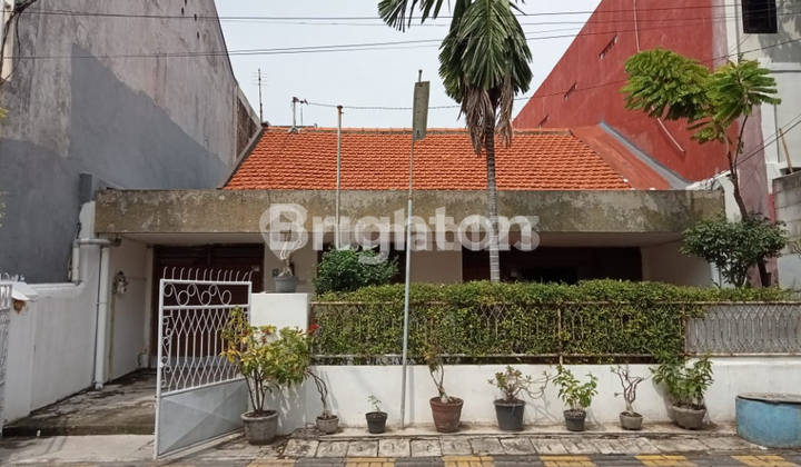 Rumah dekat Unair Surabaya Rumah dekat Unair Surabaya