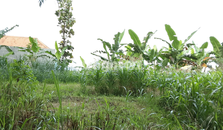 Tanah Oro Oro Ombo Batu Tanah Oro Oro Ombo Batu