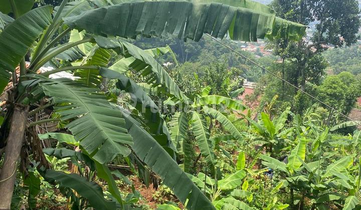 Jual Tanah Nice View Murah di Cilengkrang Ujung Berung Bandung Jual Tanah Nice View Murah di Cilengkrang Ujung Berung Bandung