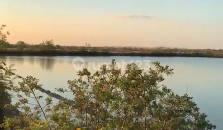 WTS / Dijual Cepat Lahan Bekas Tambak di Desa Bendungan, Gebang, Cirebon, Jawa Barat