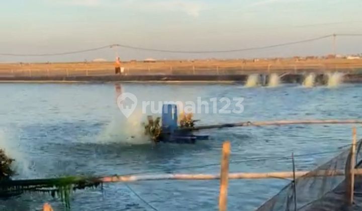 WTS / Dijual Cepat Lahan Bekas Tambak di Desa Bendungan, Gebang, Cirebon, Jawa Barat