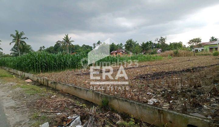 Tanah Rata dan datar  dgn lokasi bagus 1