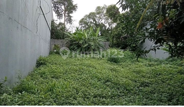 Dijual Tanah Pondok Kelapa Biliymoon Jakarta Timur Dijual Tanah Pondok Kelapa Biliymoon Jakarta Timur