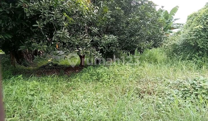 Quick Sale Biliymoon Land Pondok Kelapa East Jakarta