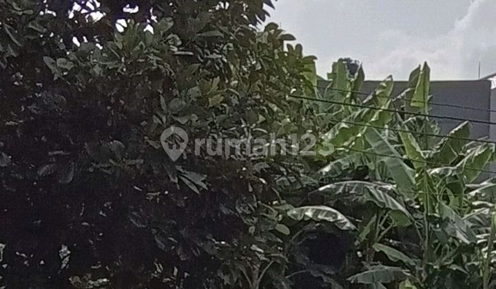 Jual Cepat Tanah Pondok Kelapa Biliymoon Jakarta Timur Jual Cepat Tanah Pondok Kelapa Biliymoon Jakarta Timur