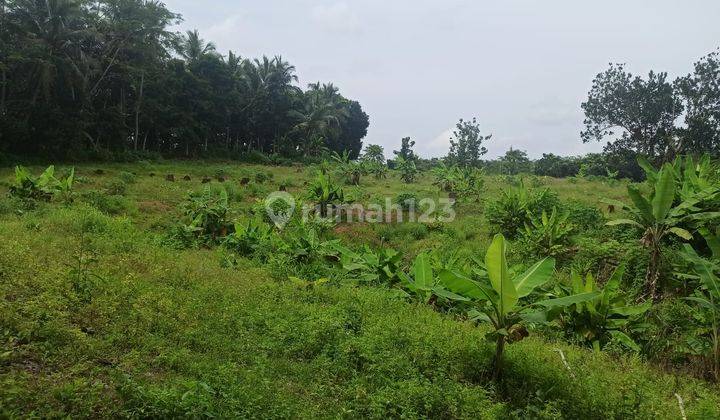 Dijual Tanah di Desa Karang Bolong, Pandeglang, Banten 2