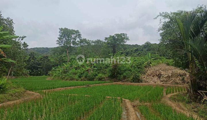 Dijual Tanah di Desa Karang Bolong, Pandeglang, Banten 1