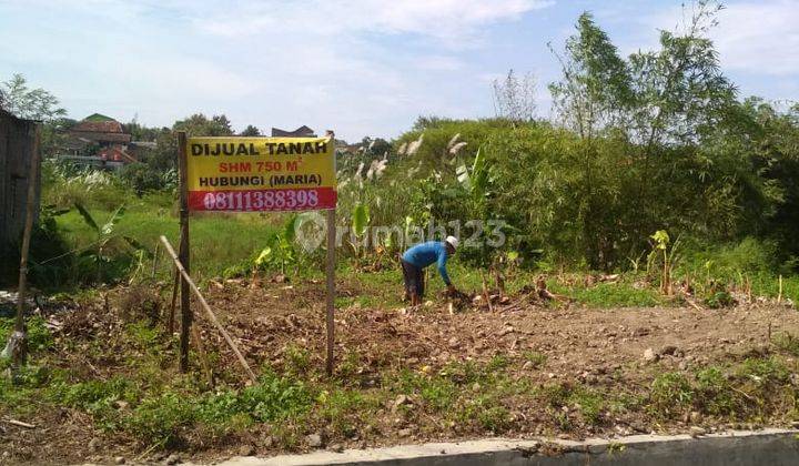 Dijual Tanah di Jalan Raya Tembalang Bulusan, Semarang 1