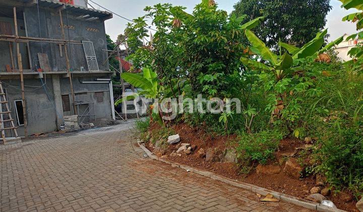 TANAH MURAH TEMBALANG DEKAT UNDIP 1