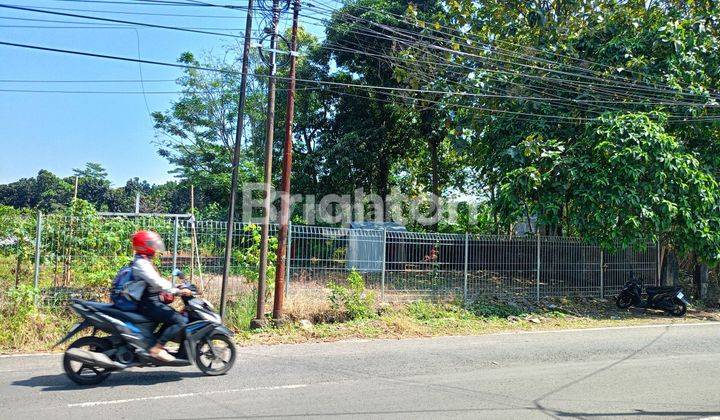 TANAH KAVLING MULAWARMAN TEMBALANG DEKAT UNDIP 1