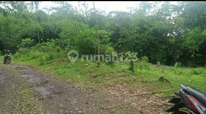 Land for Livestock Business