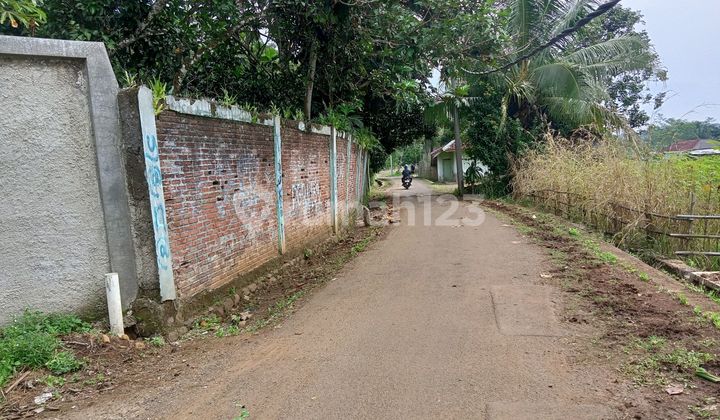 Well-Maintained Garden