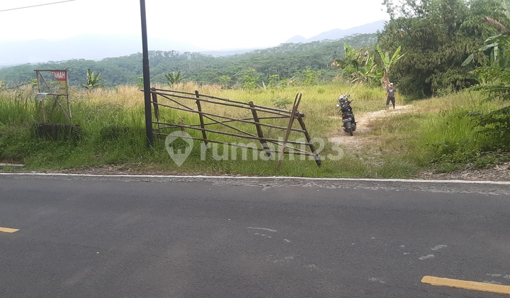 Strategic land with open views