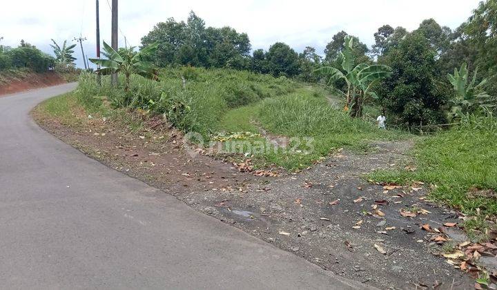 Kebun strategis 1