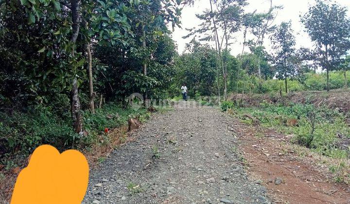 Kebun strategis 2