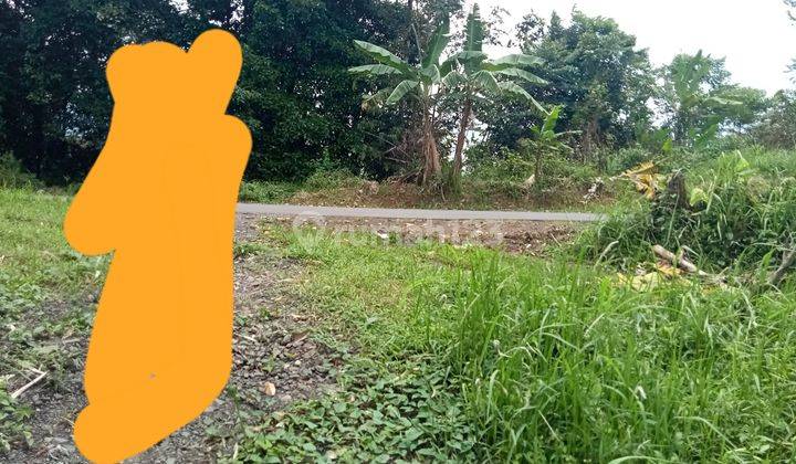 Kebun strategis 4