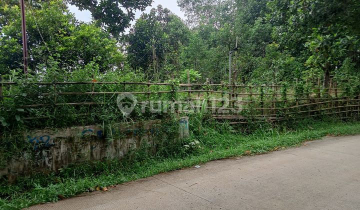 Strategic Durian Orchard