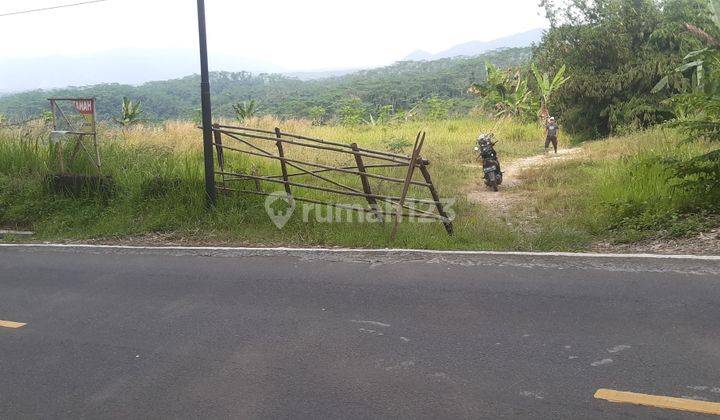 Tanah Strategis, 4,2 Hektar Cocok Untuk Rumah Kebun( Vila) Dan Juga Untuk Pesantren 2