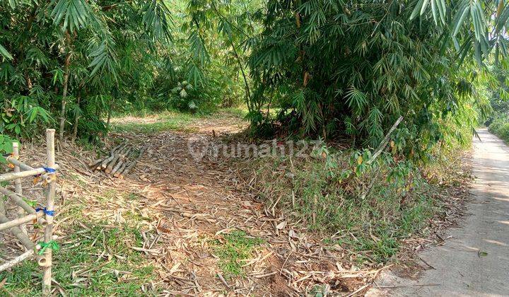  tanah/ kebun untuk berkebun durian alpokat dll 2