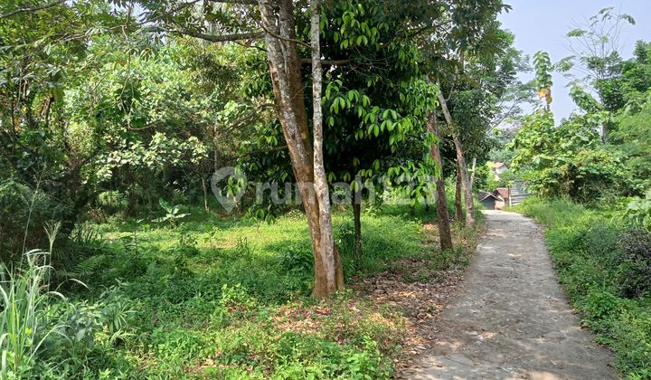 Garden / Strategic Land