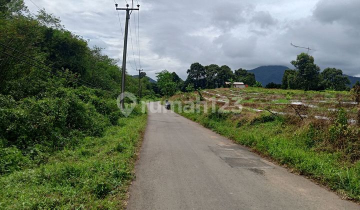 Strategic Land for Durian and Avocado Farming