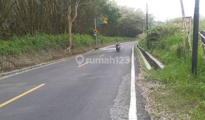 Tanah Strategis, 4,2 Hektar Cocok Untuk Rumah Kebun( Vila) Dan Juga Untuk Pesantren 1