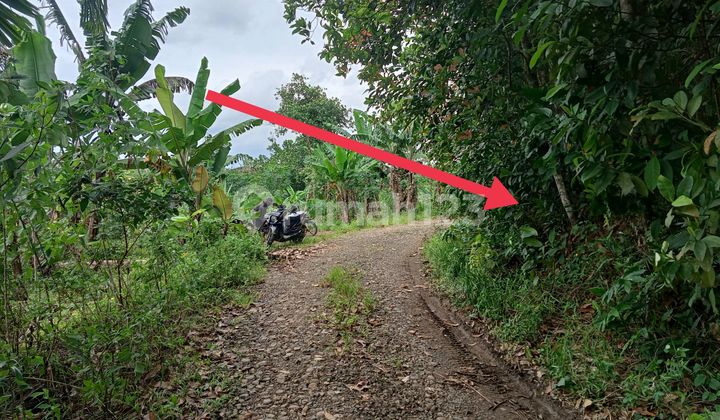 Land for Livestock Business