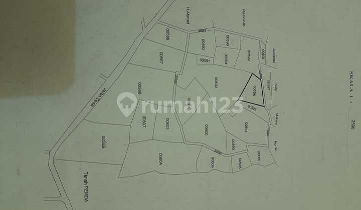 Strategic Durian Farm
