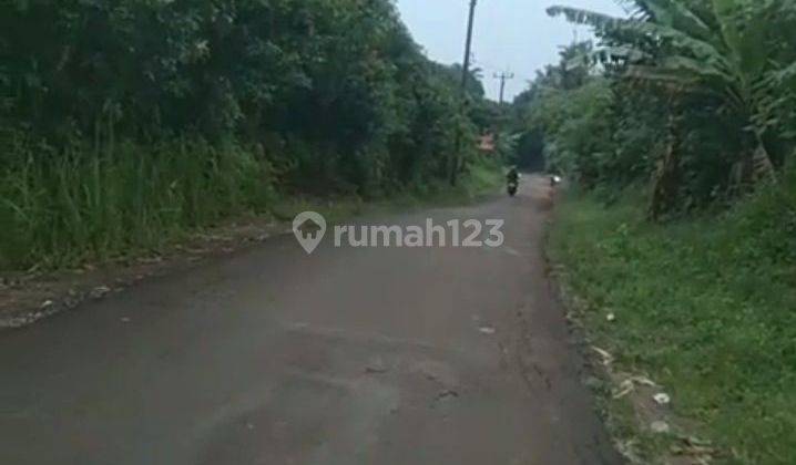 kebun durian strategis dan siap produksi 1