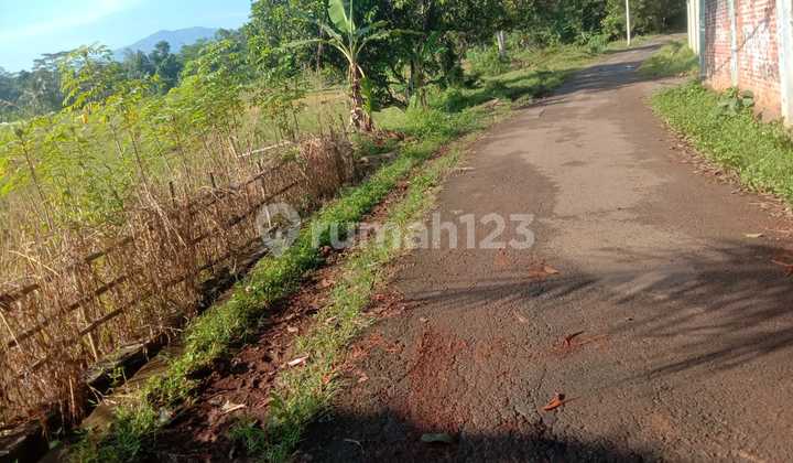 Tanah Sawah Produktif Dan Startegis Tanah Sawah Produktif Dan Startegis